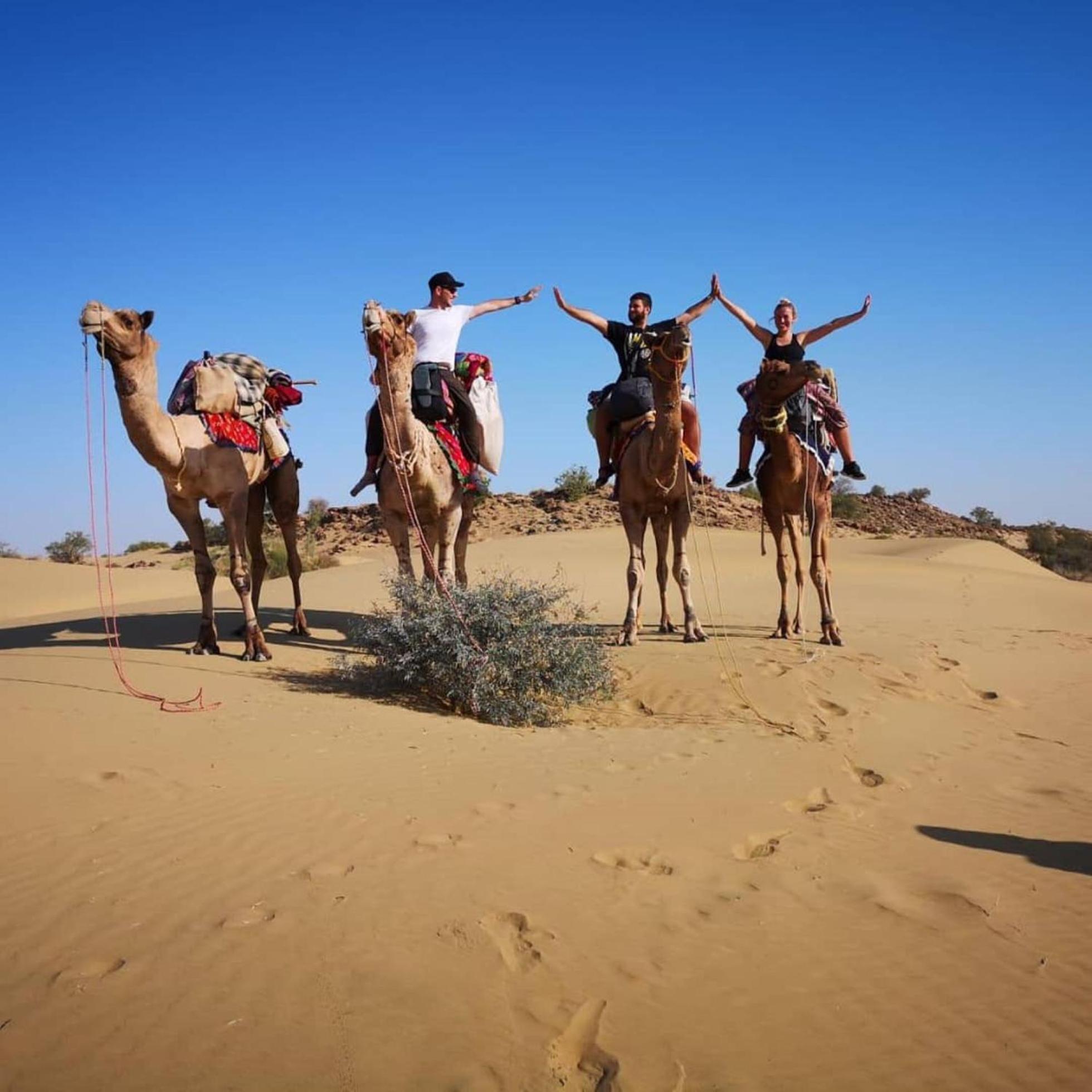 Crazy Camel Hotel & Safari ジャイサルメール エクステリア 写真