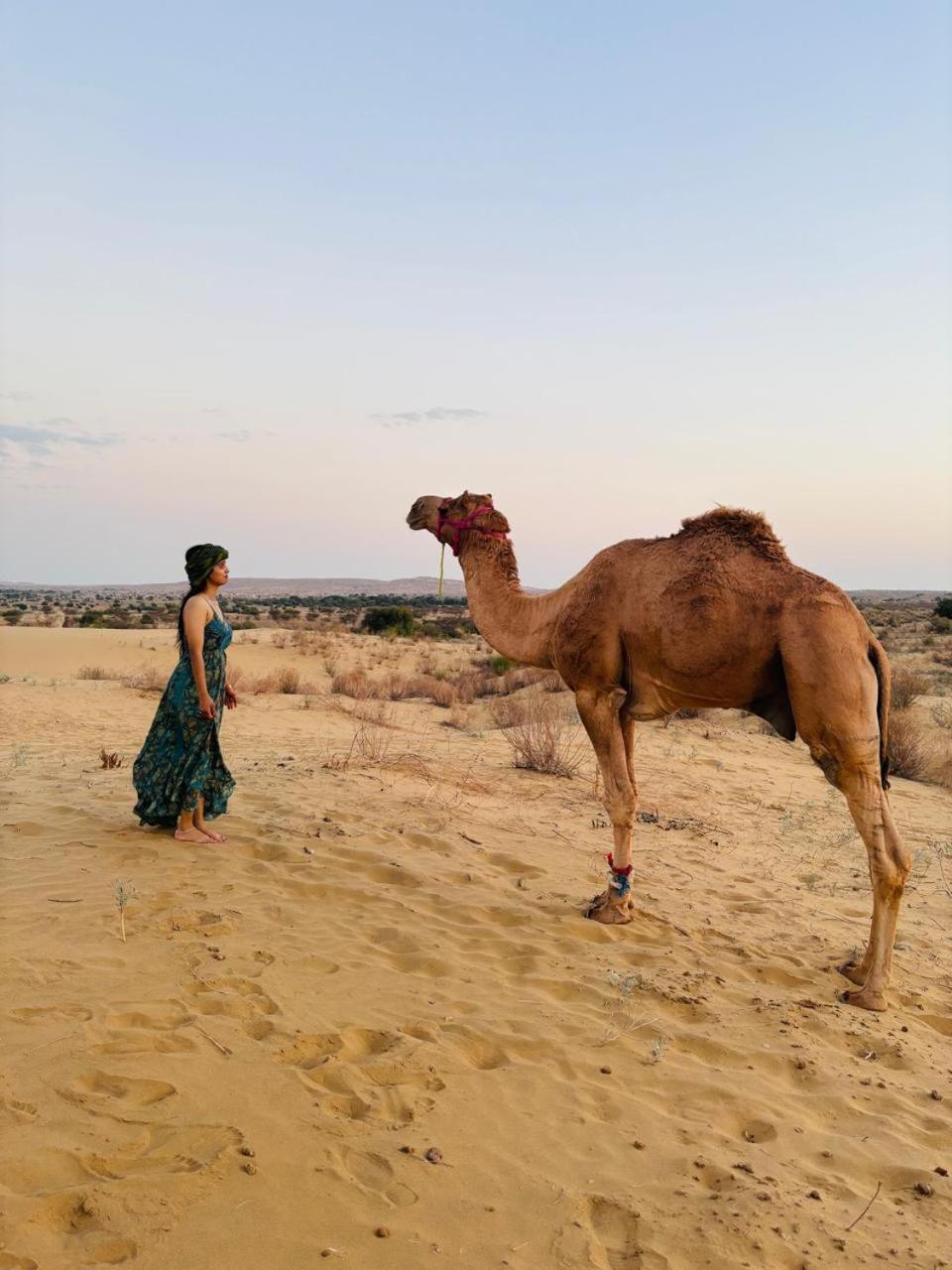 Crazy Camel Hotel & Safari ジャイサルメール エクステリア 写真