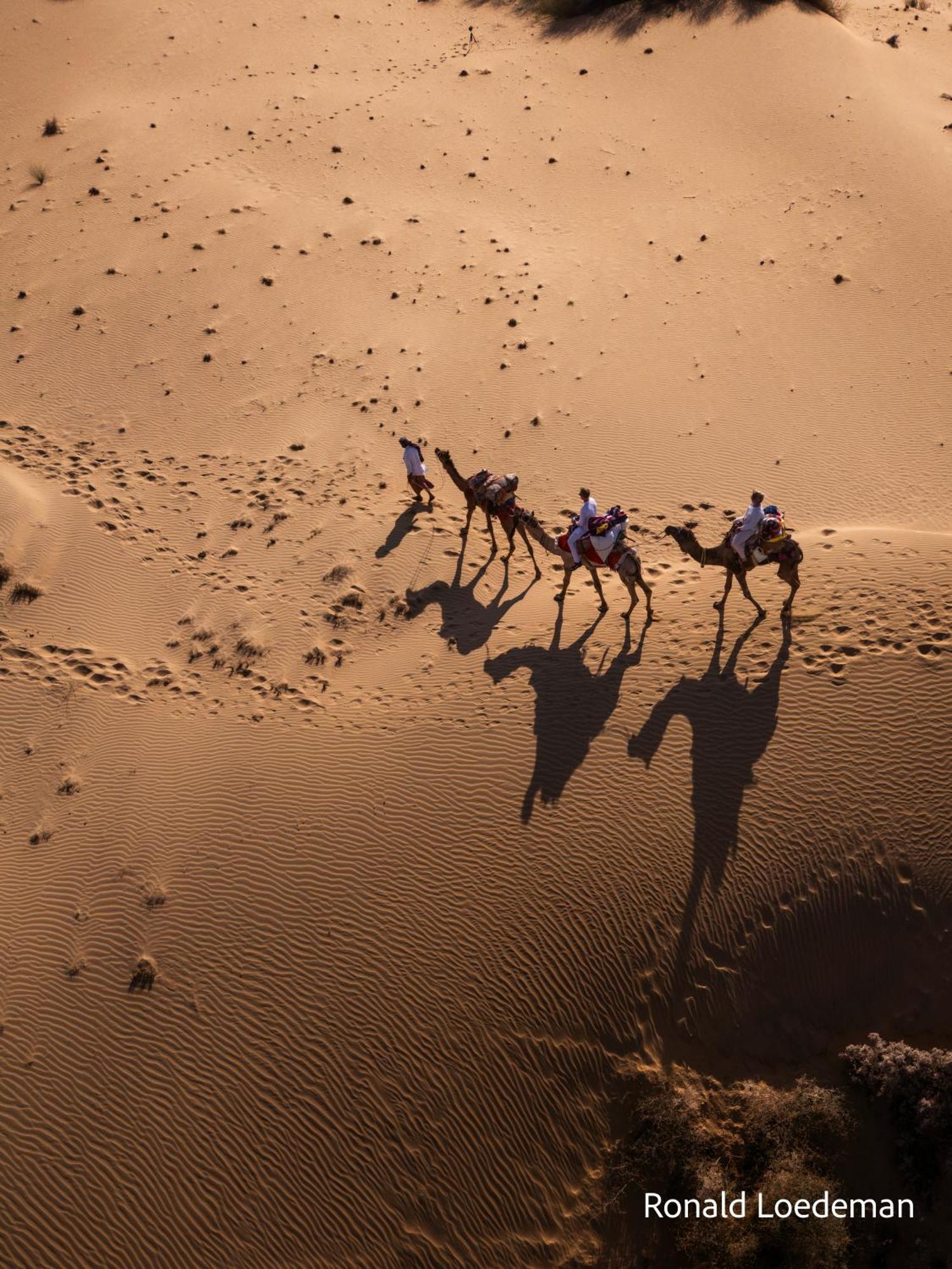 Crazy Camel Hotel & Safari ジャイサルメール エクステリア 写真